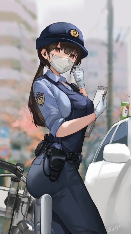 Traffic Officer