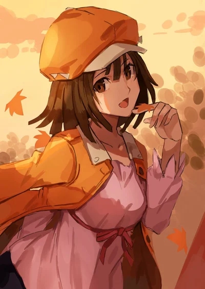 Sengoku Nadeko