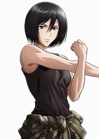 Mikasa