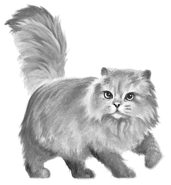 Featherwhisker - AI Character on RolePlai