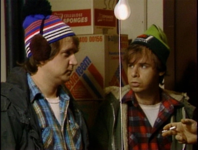 Bob and Doug McKenzie - AI Character on RolePlai