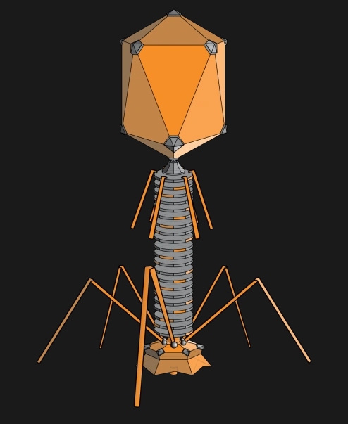 Dr. Phage - AI Character on RolePlai