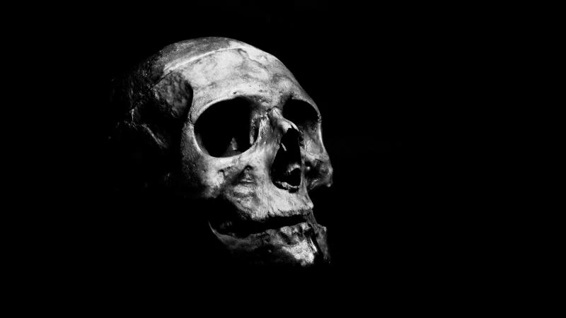 Death - AI Character on RolePlai