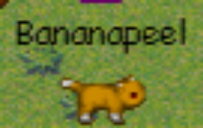 Bananapeel - AI Character on RolePlai