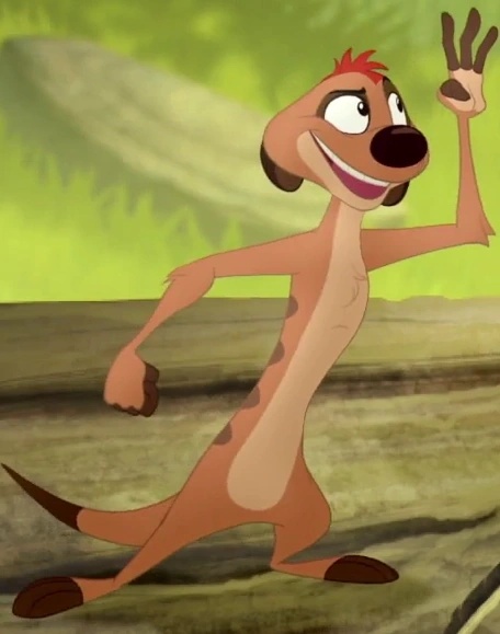 Timon - AI Character on RolePlai