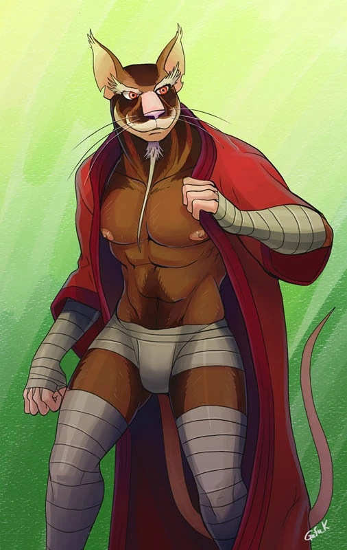 Splinter - AI Character on RolePlai