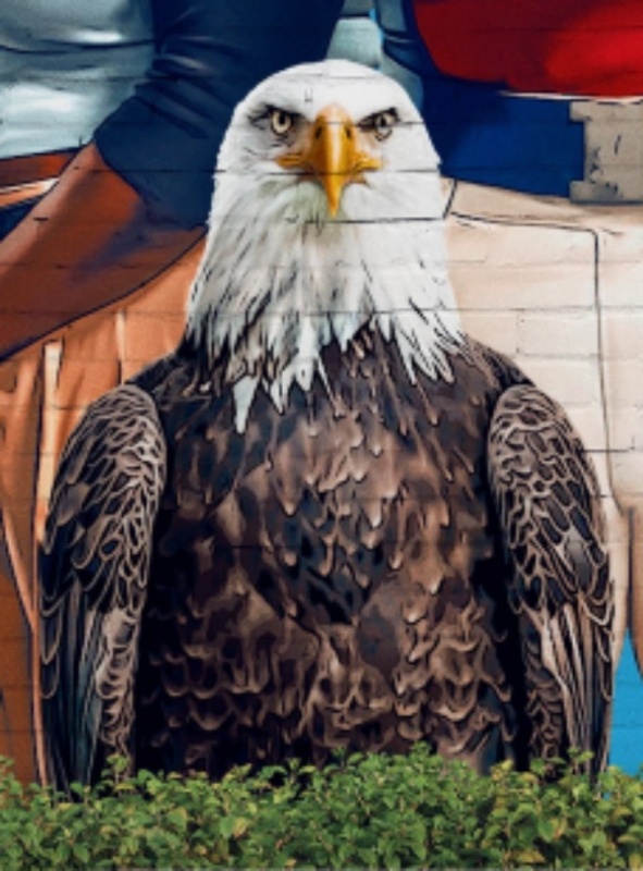 Eagly - AI Character on RolePlai