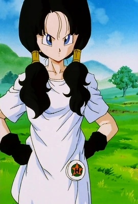Videl - AI Character on RolePlai