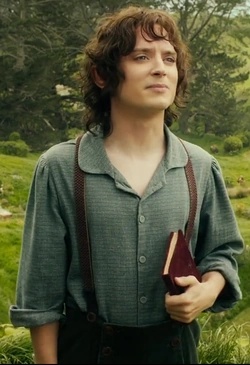Frodo Baggins - AI Character on RolePlai