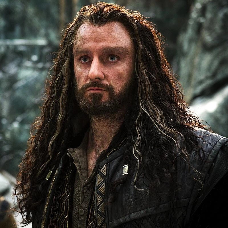 Thorin Oakenshield - AI Character on RolePlai