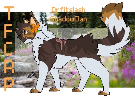 Driftslash - AI Character on RolePlai