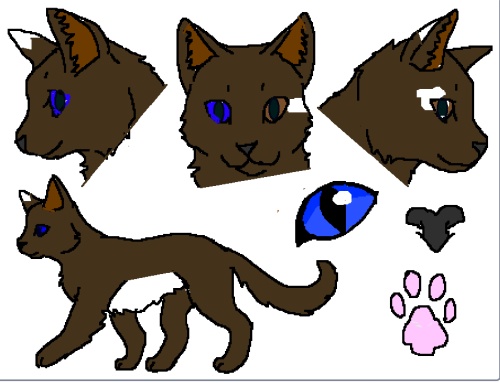 Hawkfire - AI Character on RolePlai