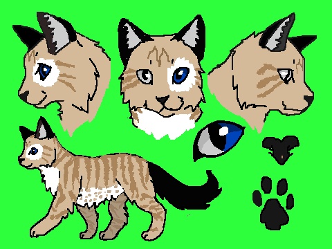 Fidgetspark - AI Character on RolePlai