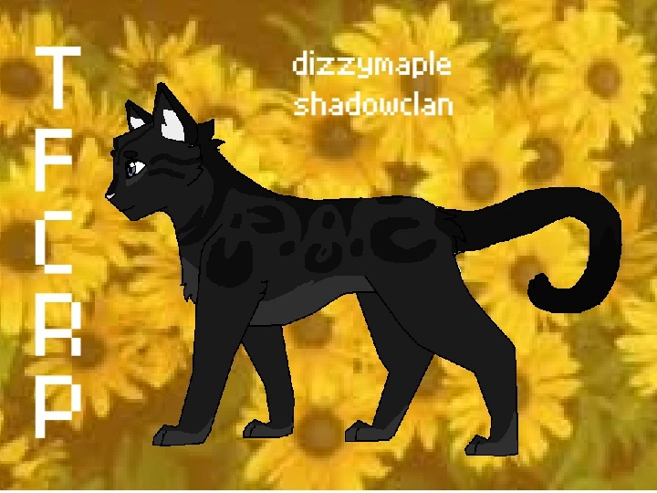 Dizzymaple - AI Character on RolePlai