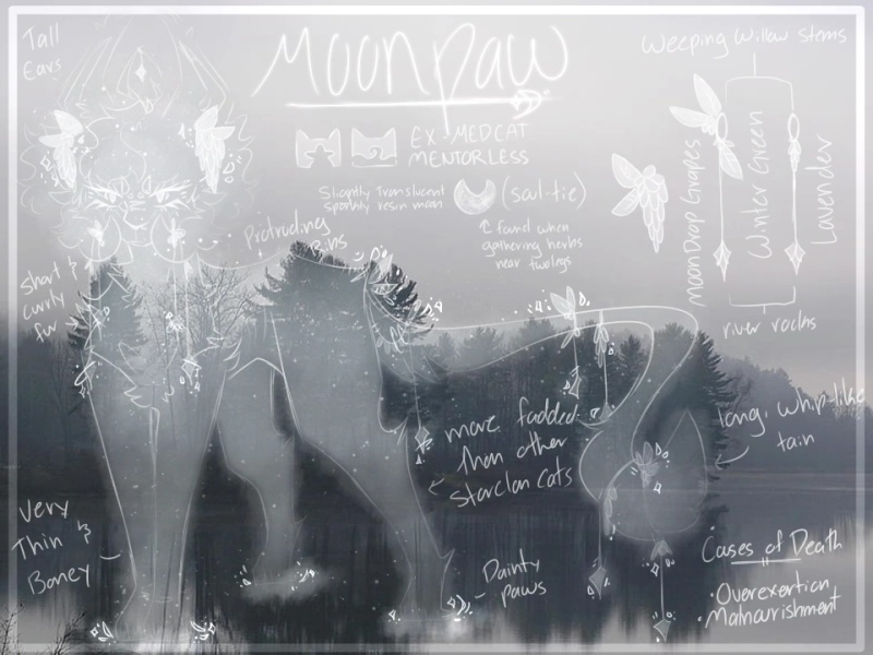 Moonpaw - AI Character on RolePlai