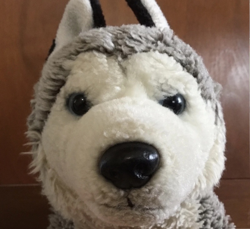 Husky - AI Character on RolePlai