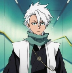 Toshiro Hitsugaya - AI Character on RolePlai