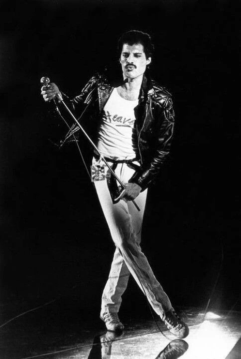 Freddie Mercury - AI Character on RolePlai
