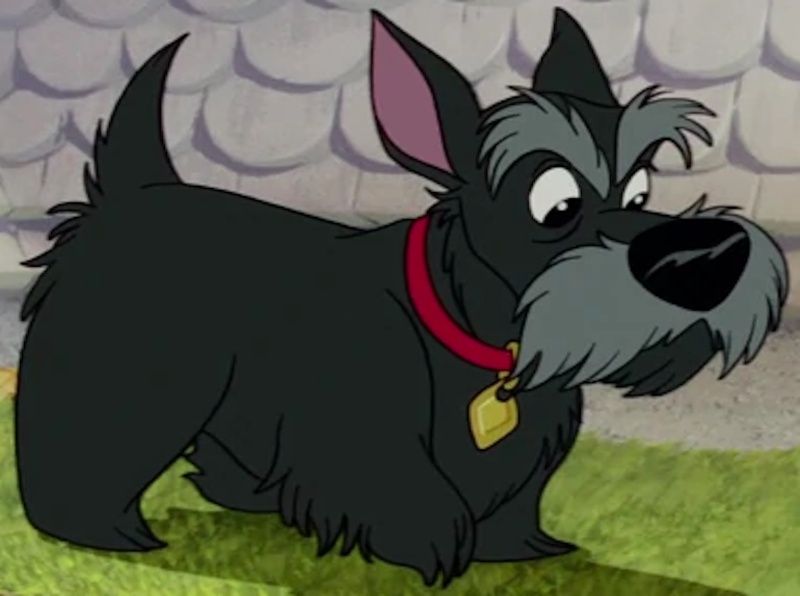 An Scottish-Terrier Jock - AI Character on RolePlai