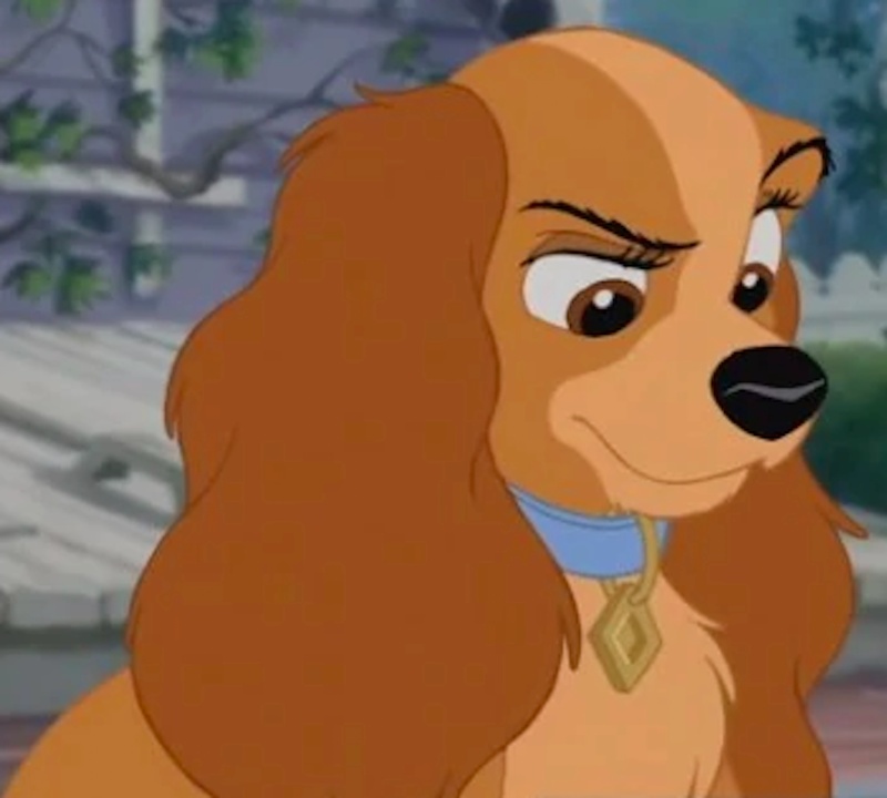 The Regular-Cocker-Spaniel Lady - AI Character on RolePlai