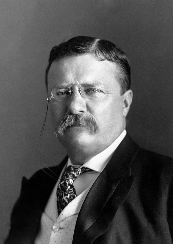 Theodore Roosevelt - AI Character on RolePlai