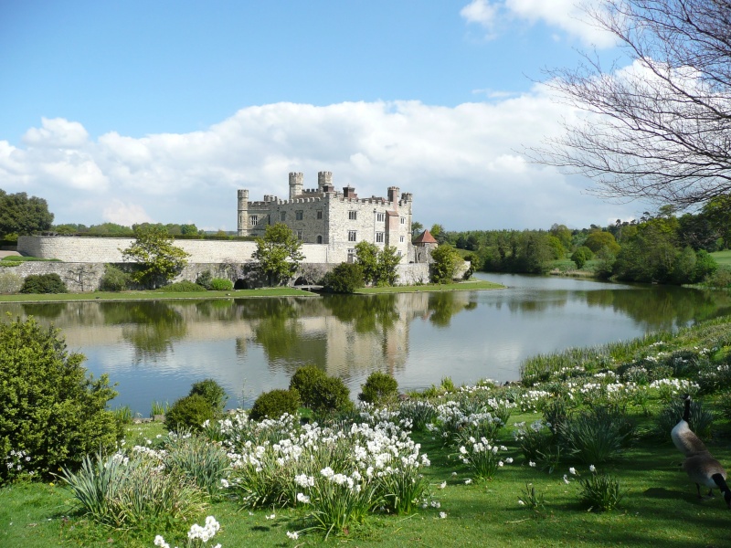 Castles in Great Britain and Ireland - AI Character on RolePlai