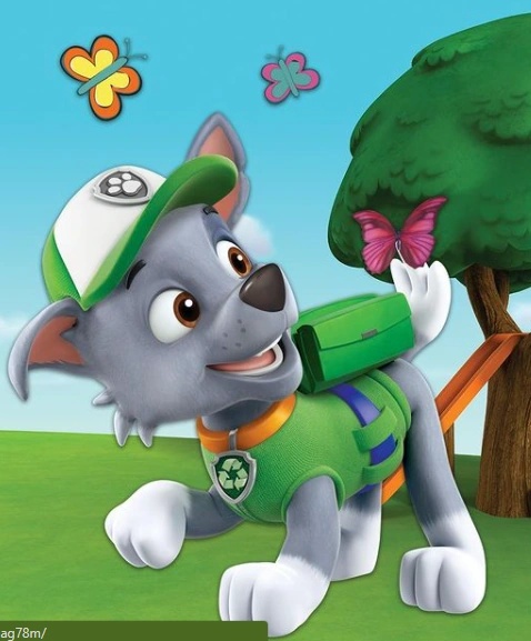 Rocky - AI Character on RolePlai