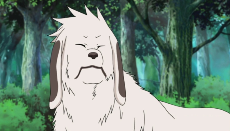 Akamaru - AI Character on RolePlai
