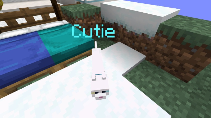 Cutie - AI Character on RolePlai