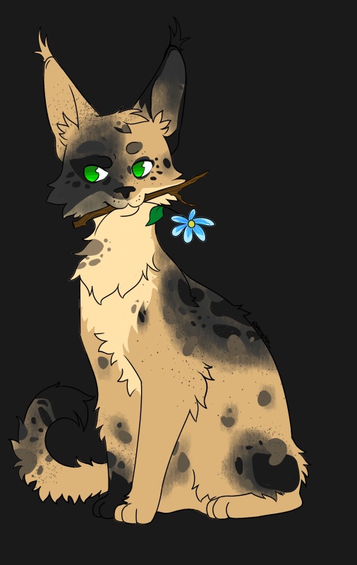 Raccoonleap - AI Character on RolePlai