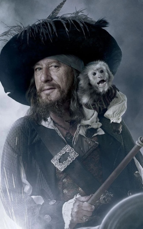 Hector Barbossa - AI Character on RolePlai