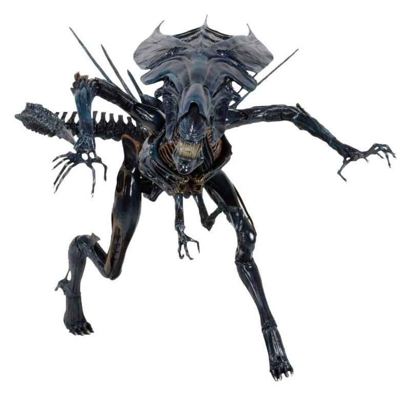 First Acheron xenomorph queen - AI Character on RolePlai