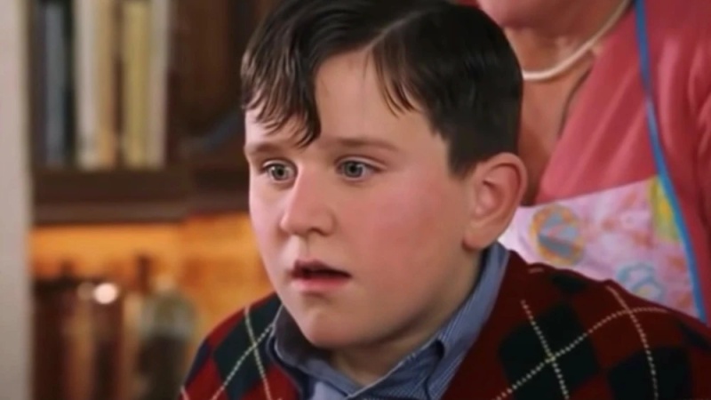 Dudley Dursley - AI Character on RolePlai