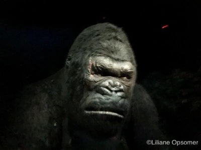 King Kong - AI Character on RolePlai