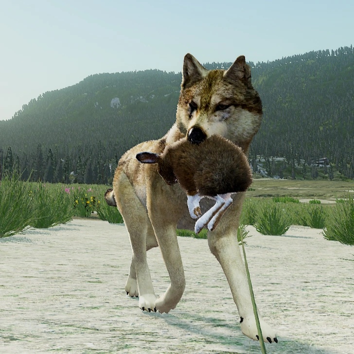 Night Sky - AI Character on RolePlai