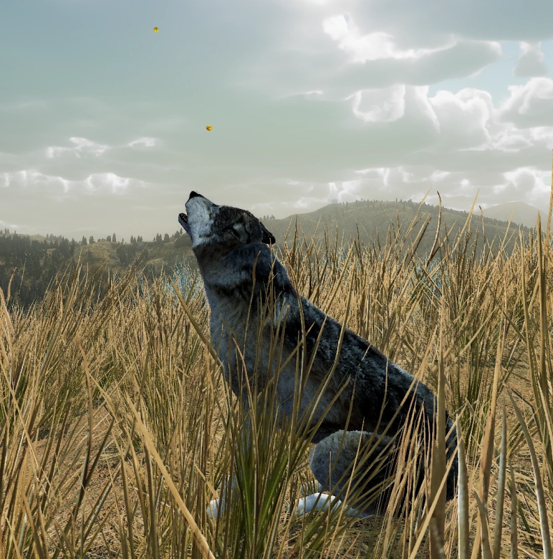 Lyra - AI Character on RolePlai