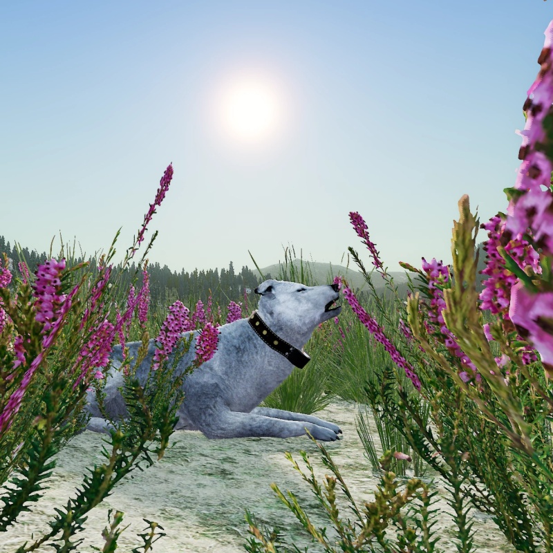 Adder - AI Character on RolePlai
