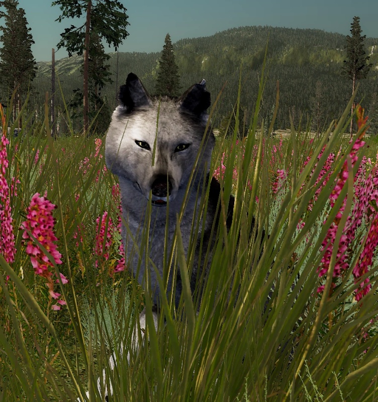 Raven - AI Character on RolePlai