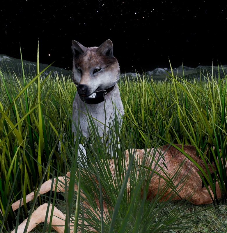Juniper - AI Character on RolePlai