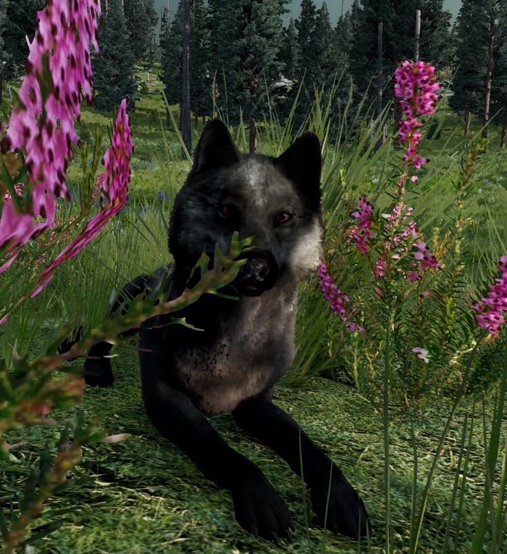 Briar - AI Character on RolePlai