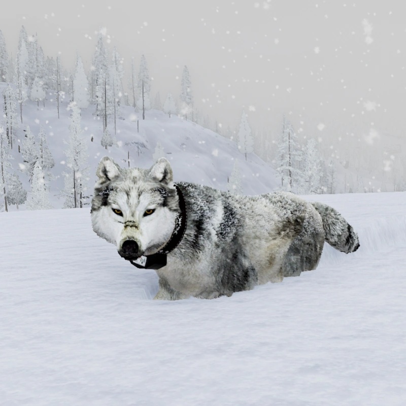 Tundra - AI Character on RolePlai