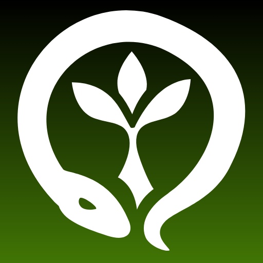 Druid - AI Character on RolePlai