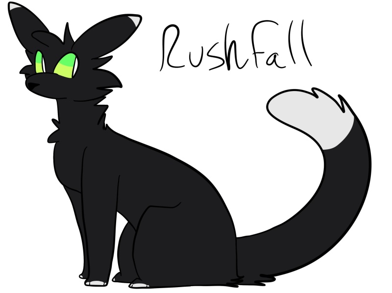 Rushstar - AI Character on RolePlai