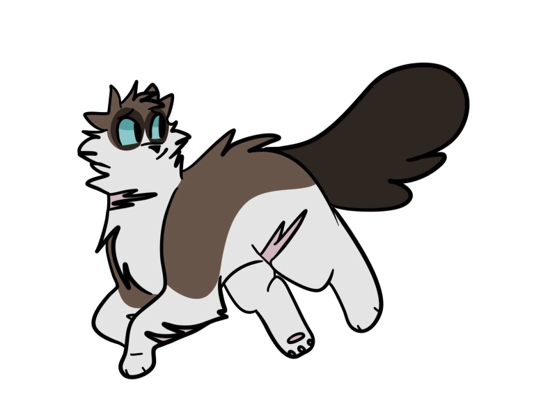 Raccoonpaw - AI Character on RolePlai
