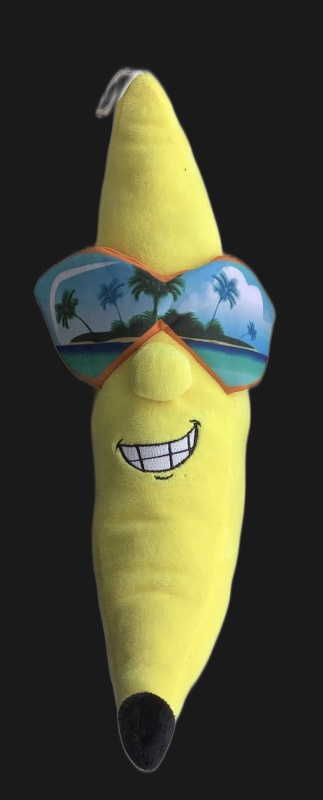 Banana with sunglasses - AI Character on RolePlai