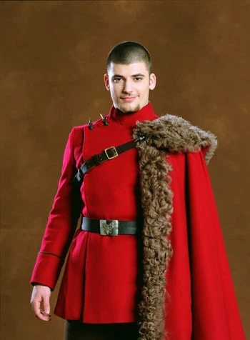 Viktor Krum - AI Character on RolePlai