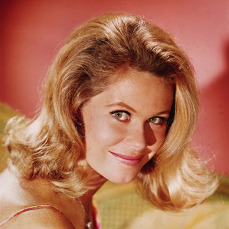 Elizabeth Montgomery - AI Character on RolePlai