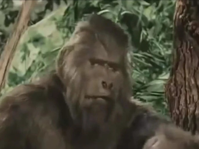 Pizza-Loving Orang-atang Gargantua - AI Character on RolePlai