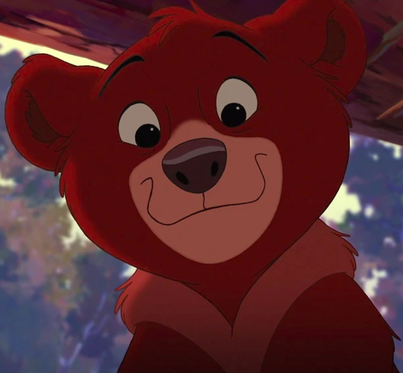 The Grizzly-Bear-Cub Koda - AI Character on RolePlai