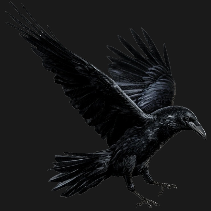 Draven Fedorov Seti Raven - AI Character on RolePlai